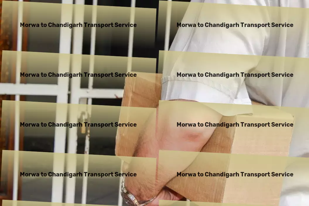 Morwa to Chandigarh Transport Professional cargo logistics