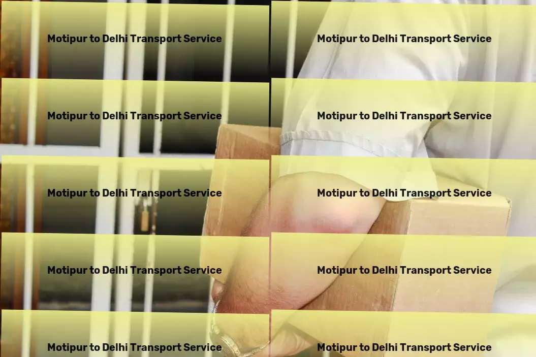 Motipur to Delhi Transport Eco-friendly transport solutions