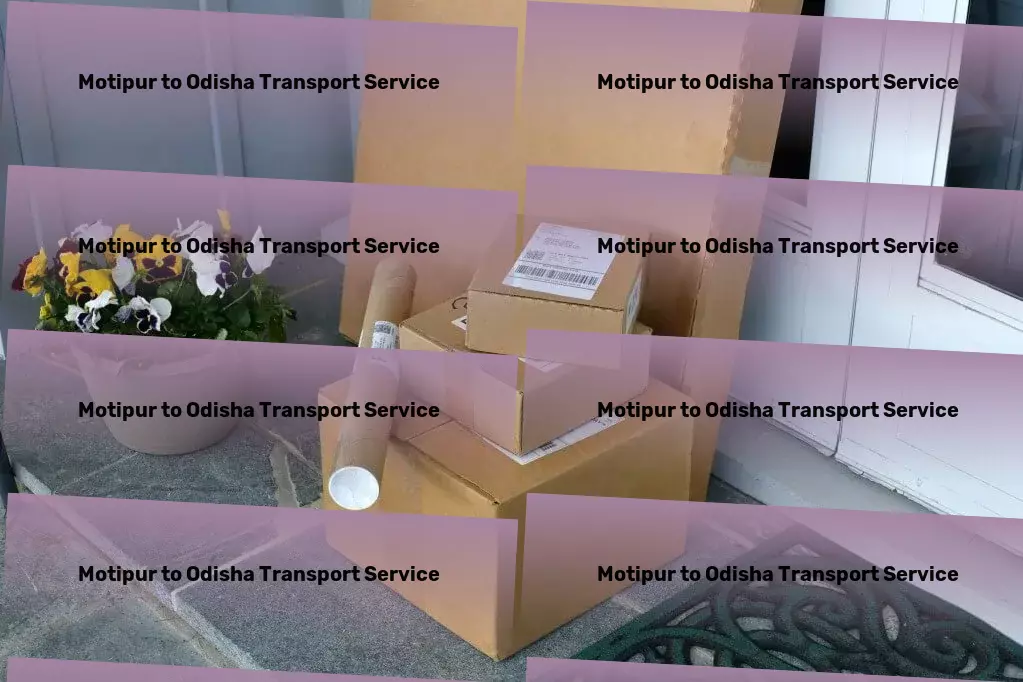 Motipur to Odisha Transport Unlock the secrets to efficient home organization! - Door-to-door transport solutions