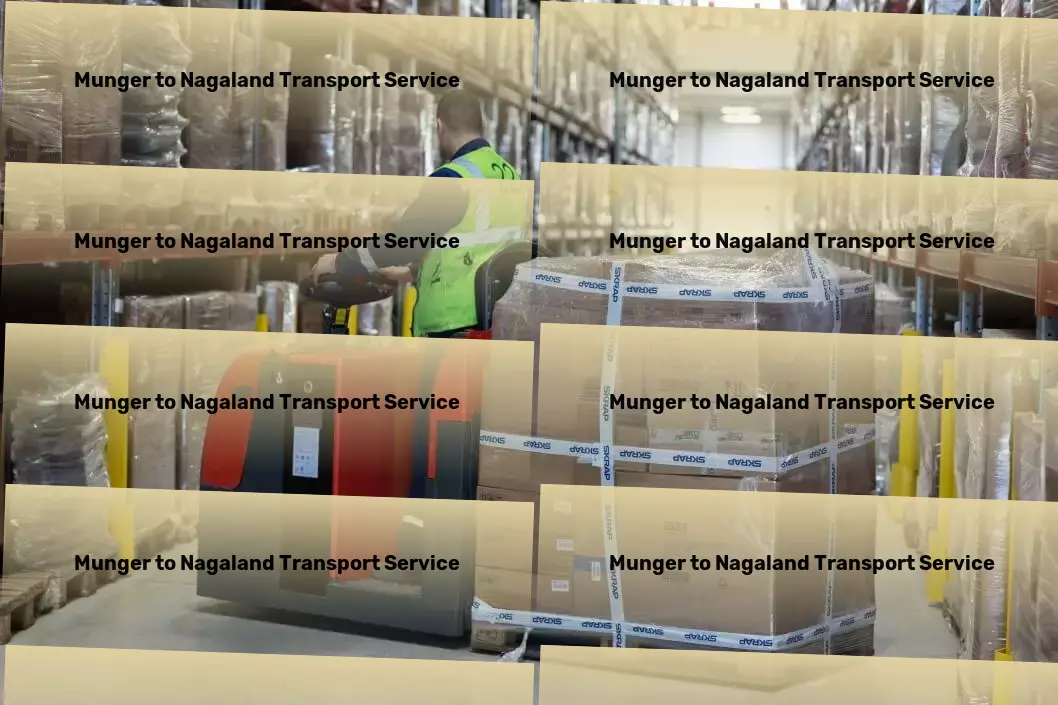 Munger to Nagaland Transport Large-scale cargo logistics