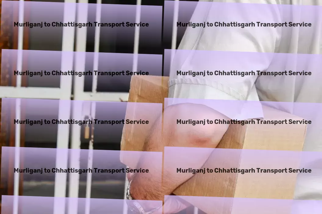 Murliganj to Chhattisgarh Transport Dedicated parcel services