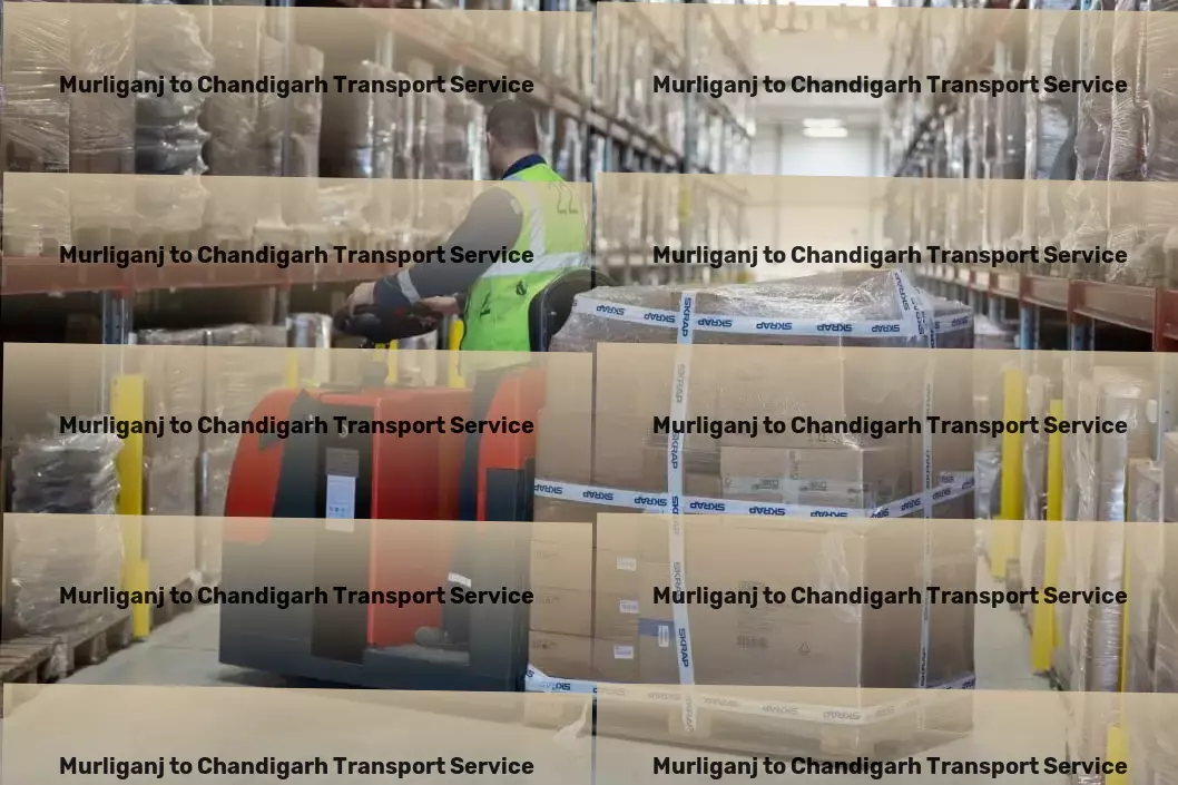 Murliganj to Chandigarh Transport Customized package logistics