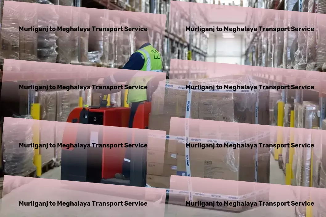 Murliganj to Meghalaya Transport Quick freight shipping services