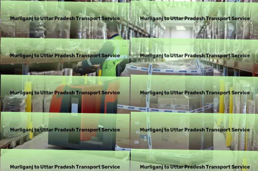 Murliganj to Uttar Pradesh Transport Multi-regional transport solutions