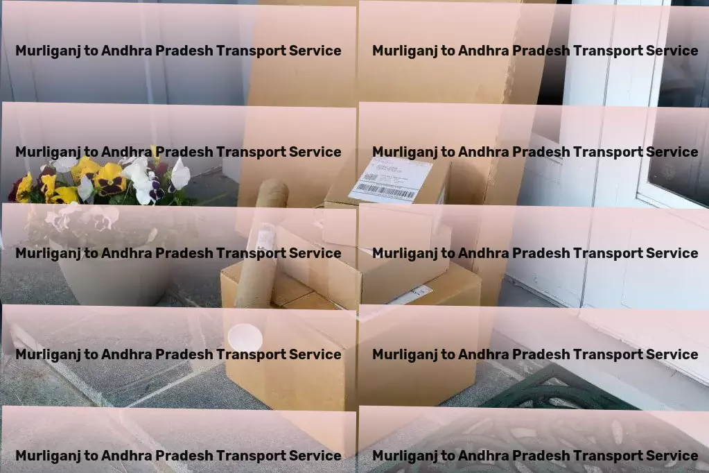 Murliganj to Andhra Pradesh Transport Stay informed on global issues without overwhelm! - High-volume cargo shipping