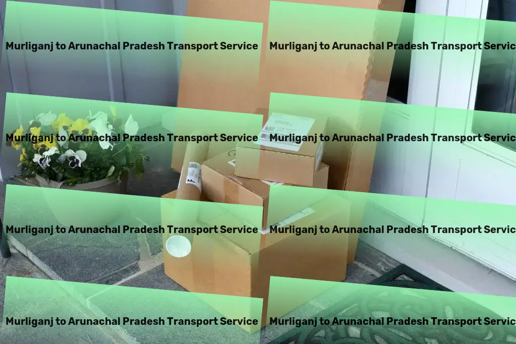 Murliganj to Arunachal Pradesh Transport Protect your digital life with cybersecurity best practices! - Professional freight solutions