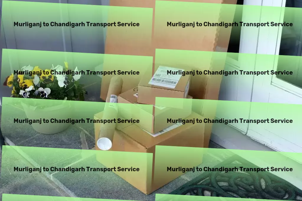 Murliganj to Chandigarh Transport Dedicated bulk delivery