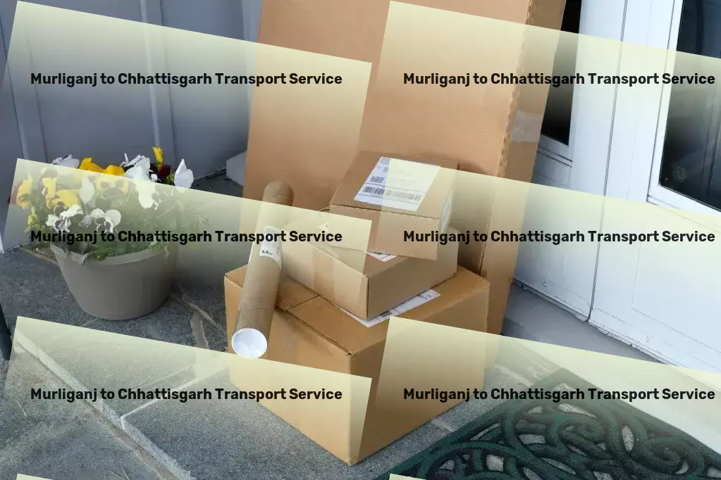 Murliganj to Chhattisgarh Transport Experience ultimate relaxation with our wellness retreats guide! - Advanced freight services