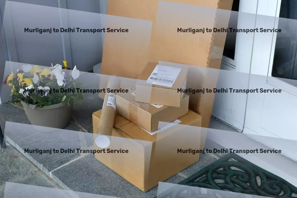 Murliganj to Delhi Transport Local freight logistics services