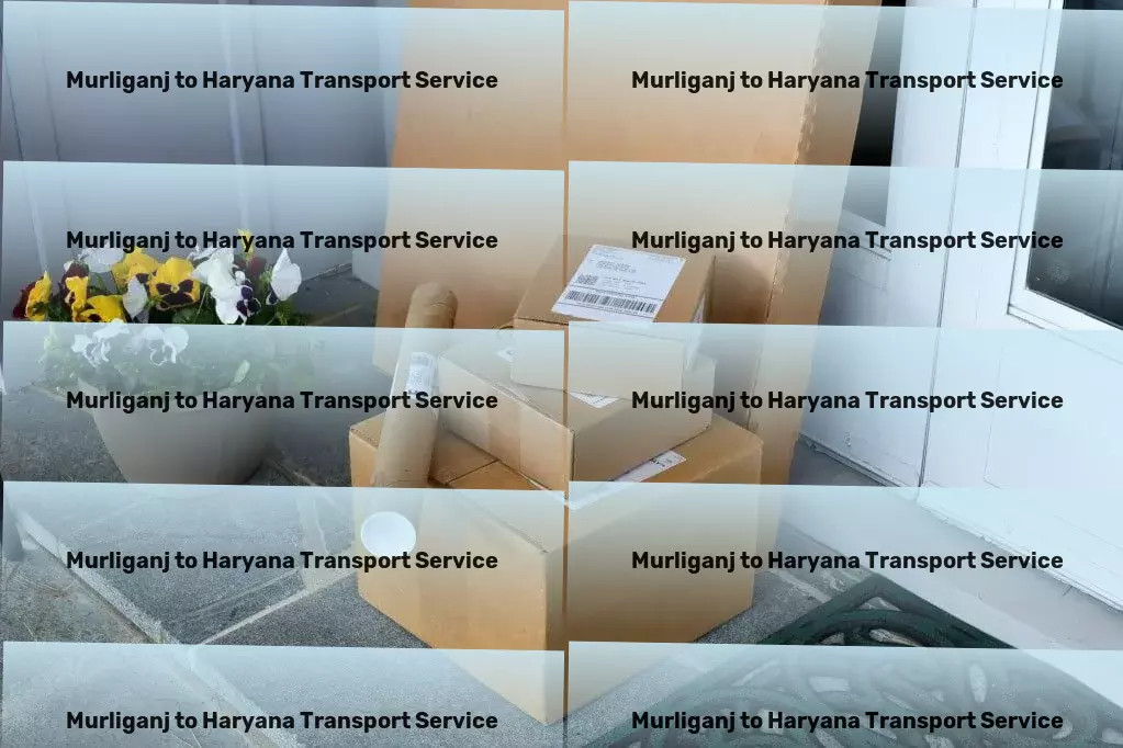 Murliganj to Haryana Transport Personalized goods services