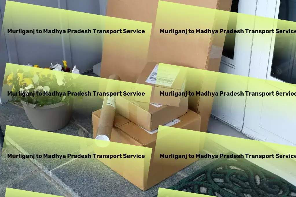 Murliganj to Madhya Pradesh Transport Crafting unforgettable journeys through India's heartlands! - Full-service logistics