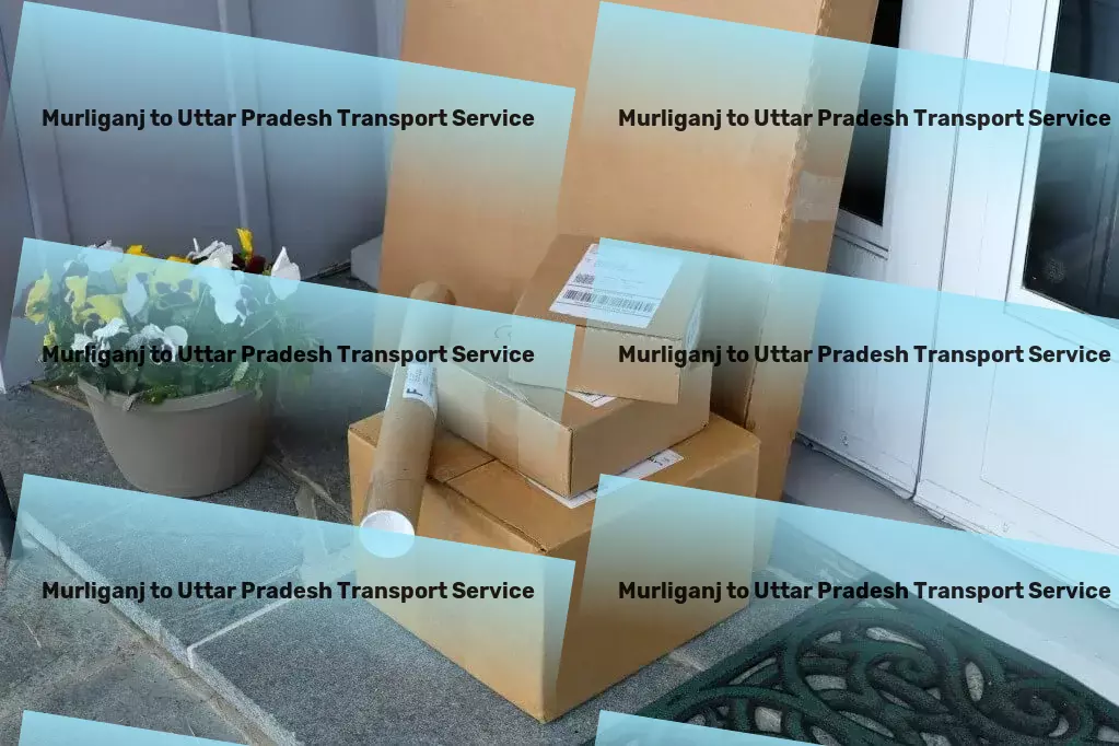 Murliganj to Uttar Pradesh Transport Retail distribution logistics