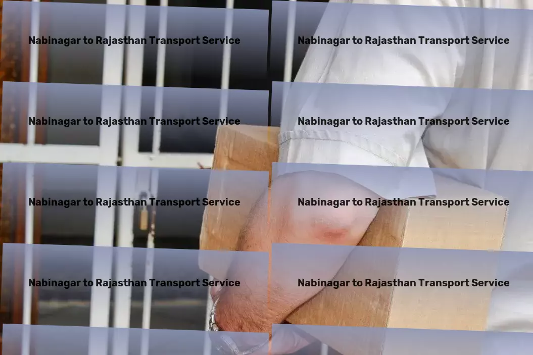 Nabinagar to Rajasthan Transport Safe cargo handling