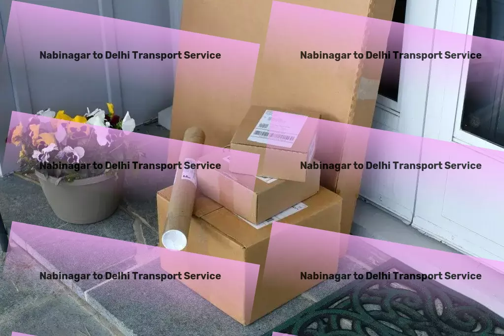 Nabinagar to Delhi Transport Comprehensive courier operations