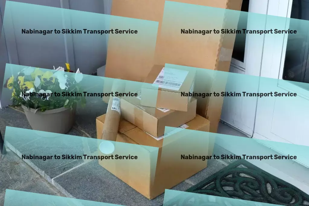 Nabinagar to Sikkim Transport Quick courier dispatch