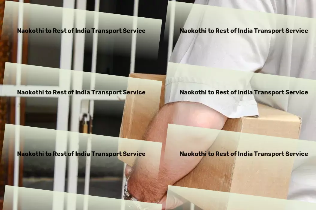 Naokothi to Rest Of India Transport Global freight services