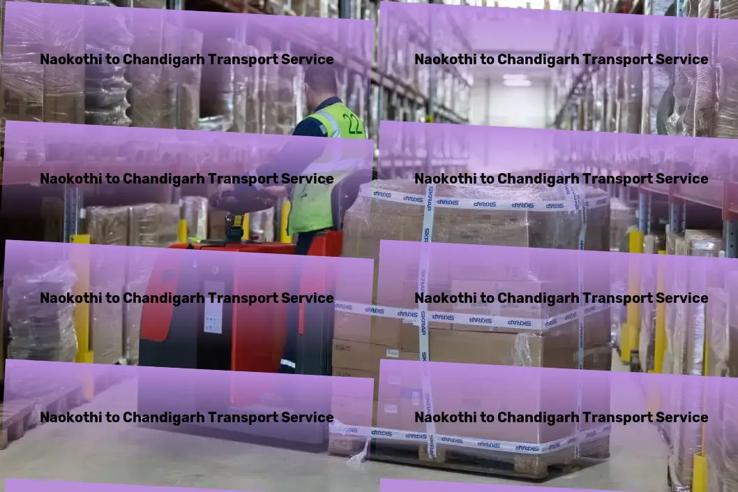 Naokothi to Chandigarh Transport Customized goods forwarding