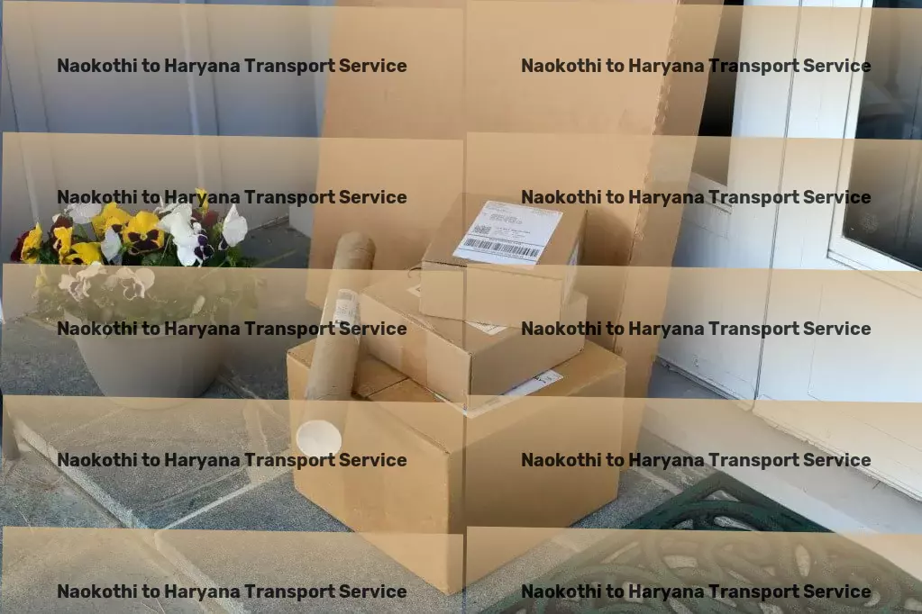 Naokothi to Haryana Transport Heavy cargo transport solutions