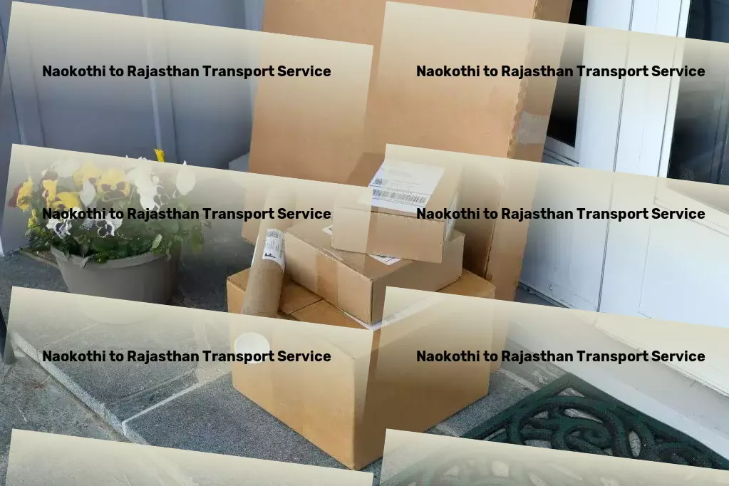 Naokothi to Rajasthan Transport Urban cargo logistics