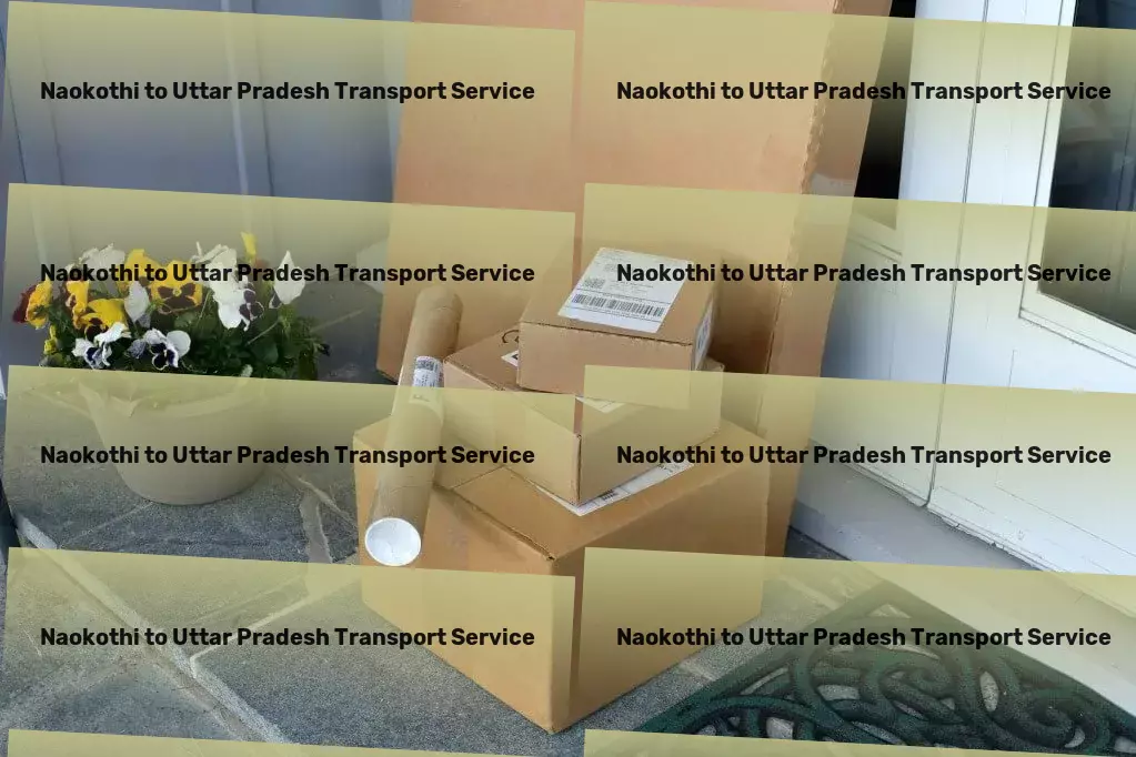 Naokothi to Uttar Pradesh Transport Customized goods logistics