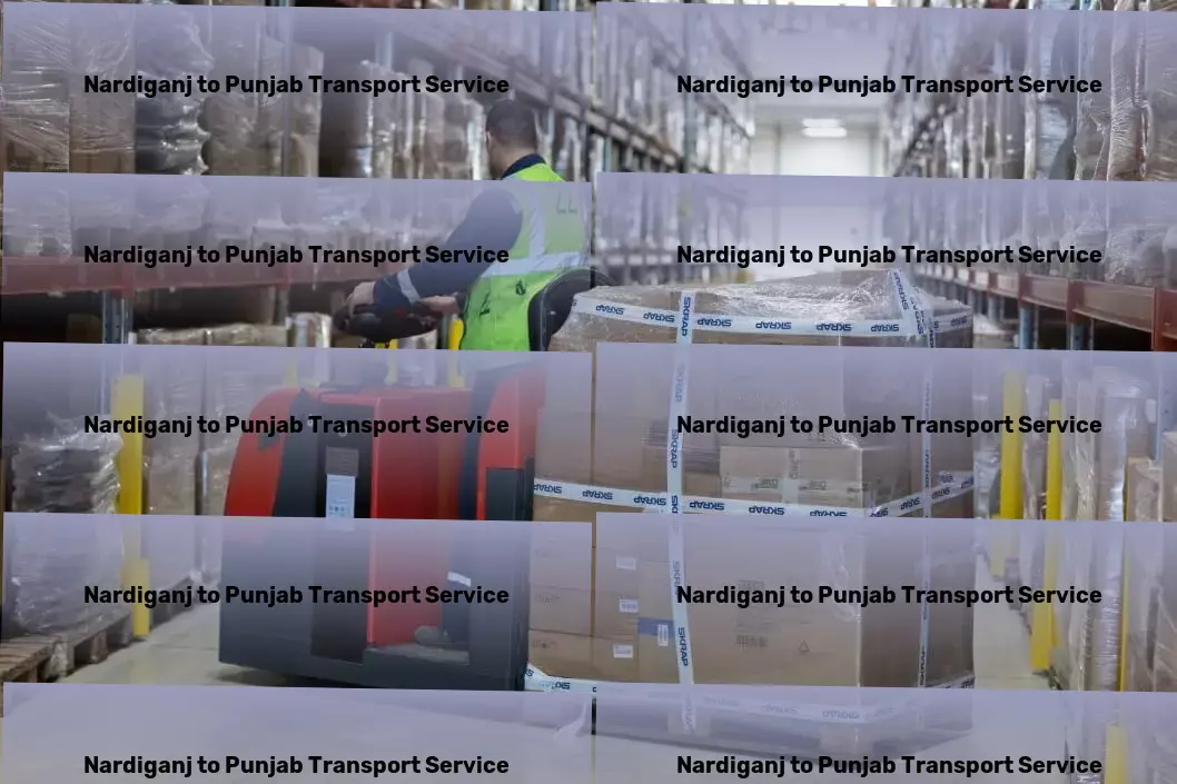 Nardiganj to Punjab Transport Fast cargo delivery