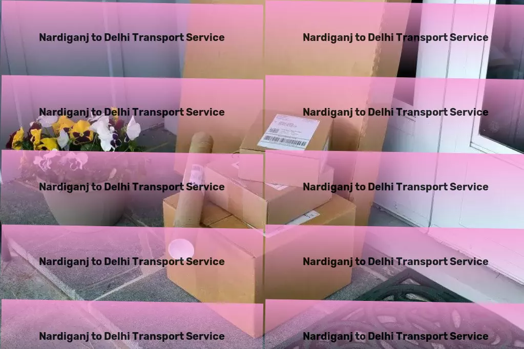 Nardiganj to Delhi Transport Citywide goods delivery