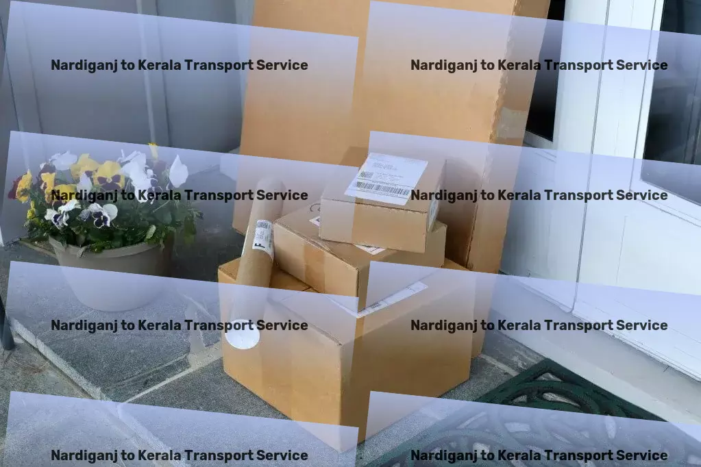 Nardiganj to Kerala Transport Heavy load logistics solutions