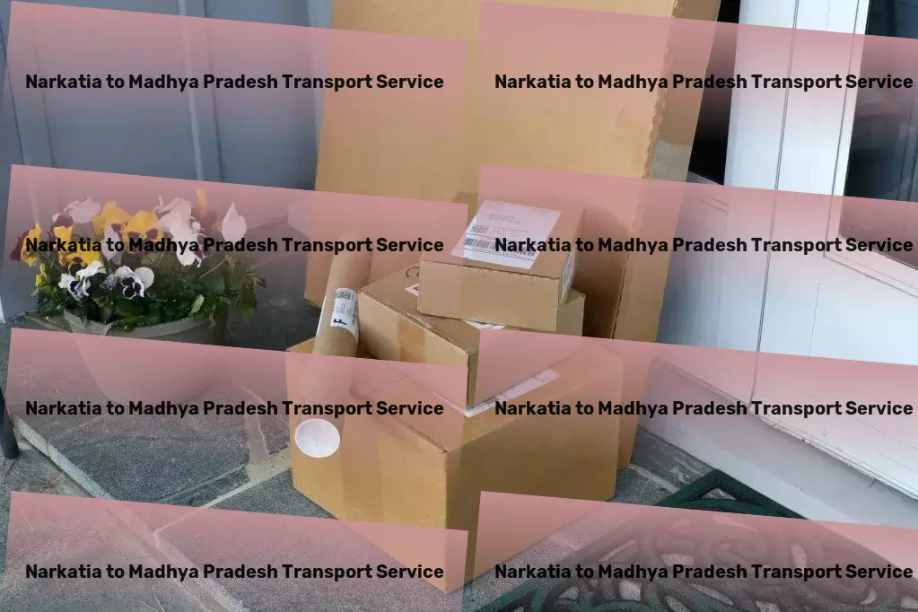 Narkatia to Madhya Pradesh Transport Boost your language learning journey with practical tips! - Express goods shipping