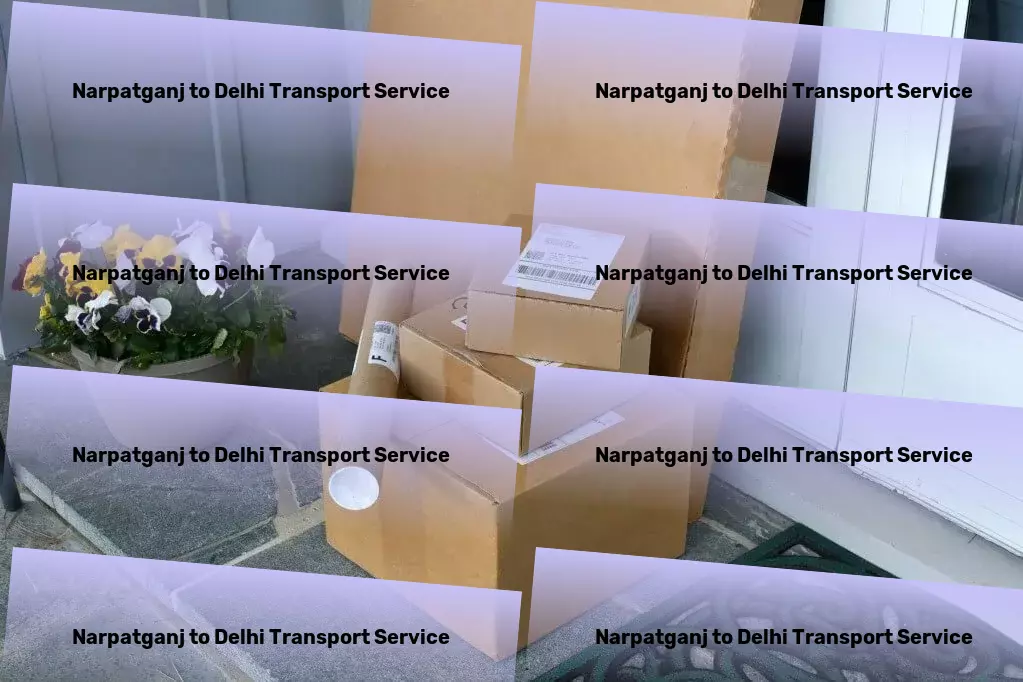 Narpatganj to Delhi Transport National goods solutions