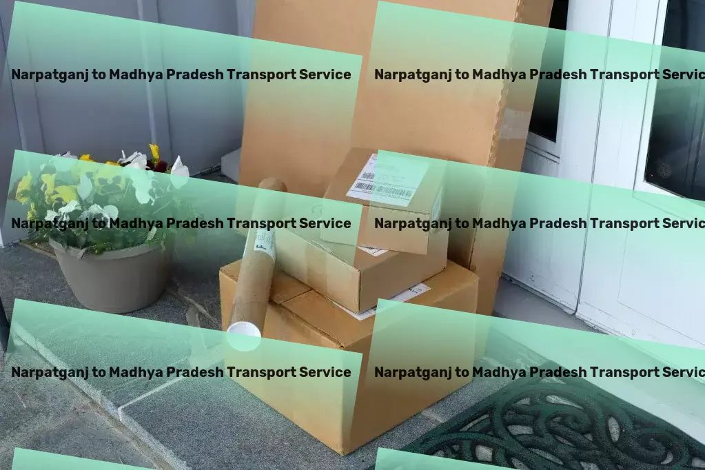 Narpatganj to Madhya Pradesh Transport Expedited package services