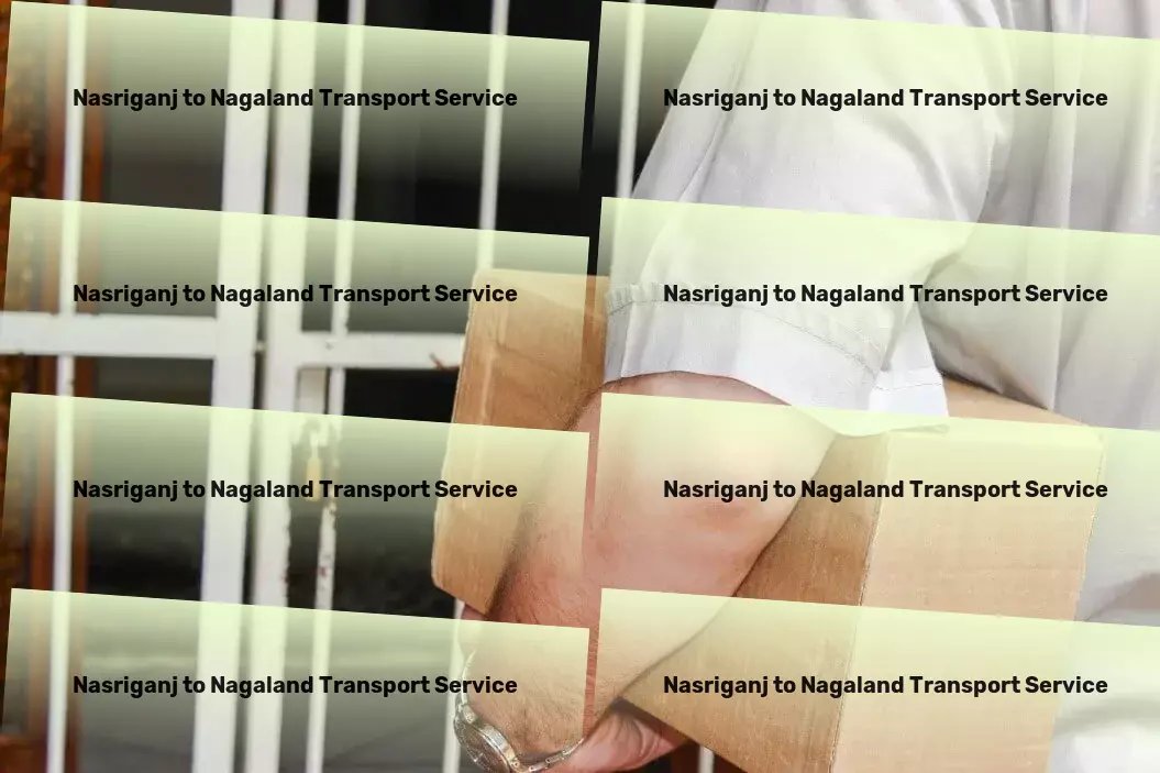 Nasriganj to Nagaland Transport Full truckload services