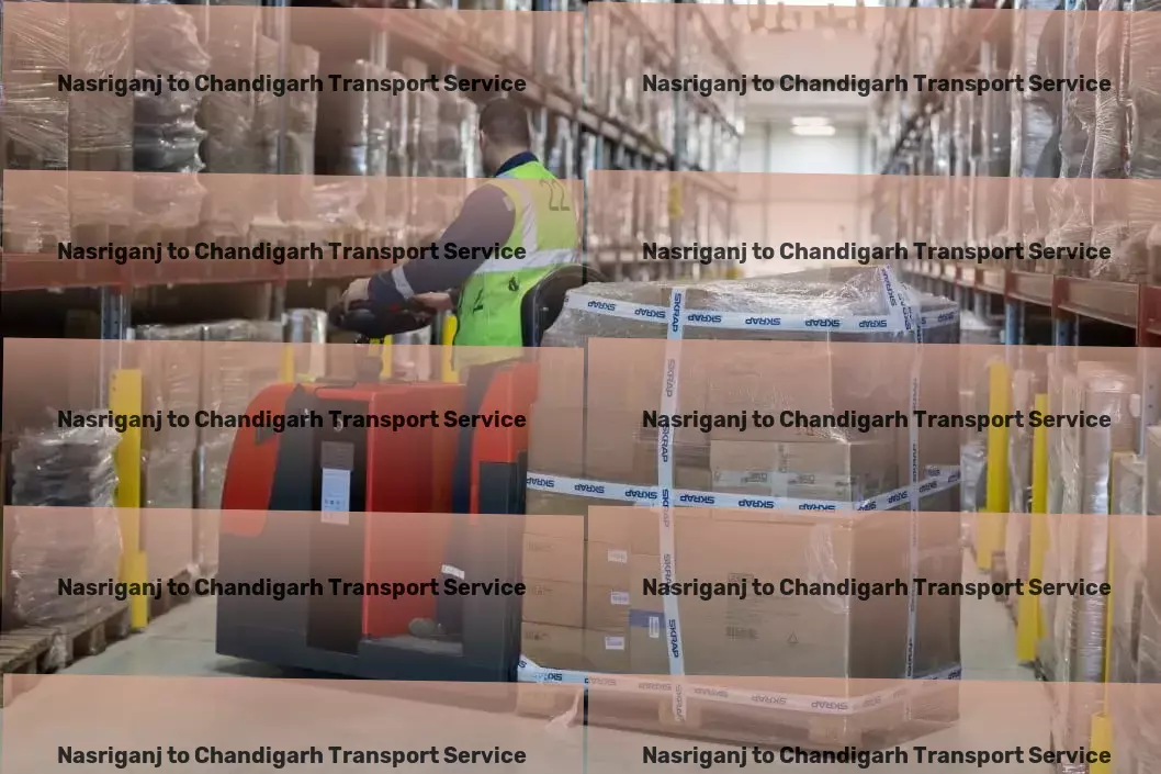 Nasriganj to Chandigarh Transport Courier delivery operations