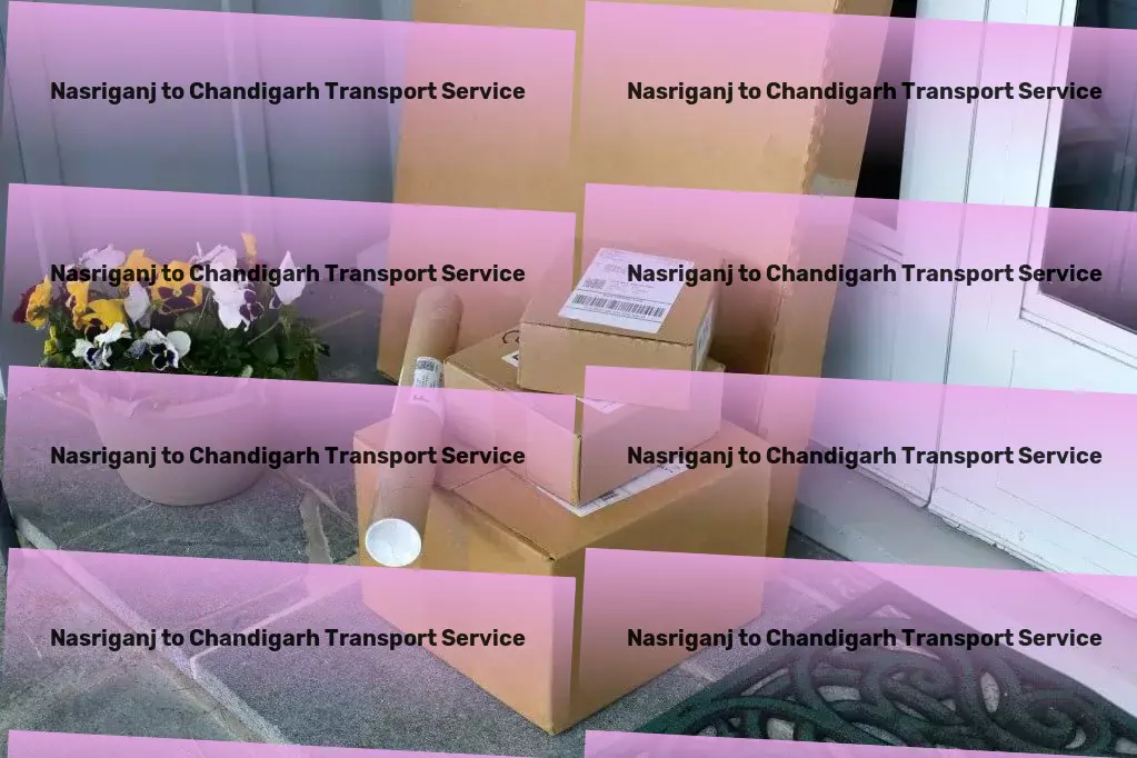 Nasriganj to Chandigarh Transport Upgrade your DIY skills with our creative projects! - Specialized package transport