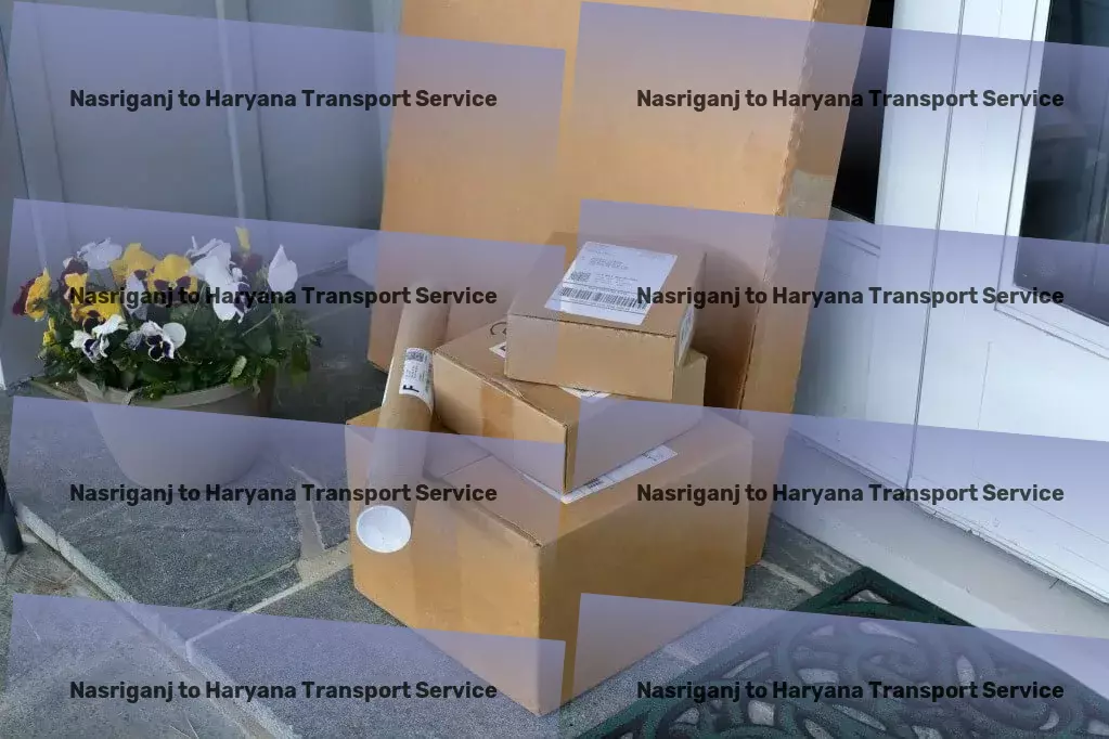 Nasriganj to Haryana Transport Multi-regional package services