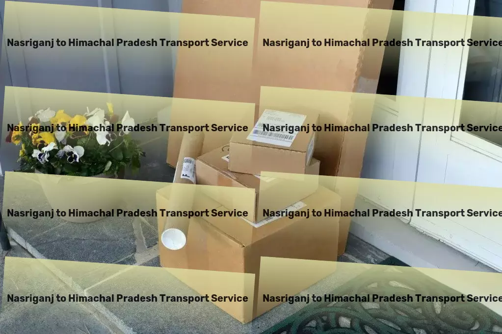 Nasriganj to Himachal Pradesh Transport Regional truckload transport