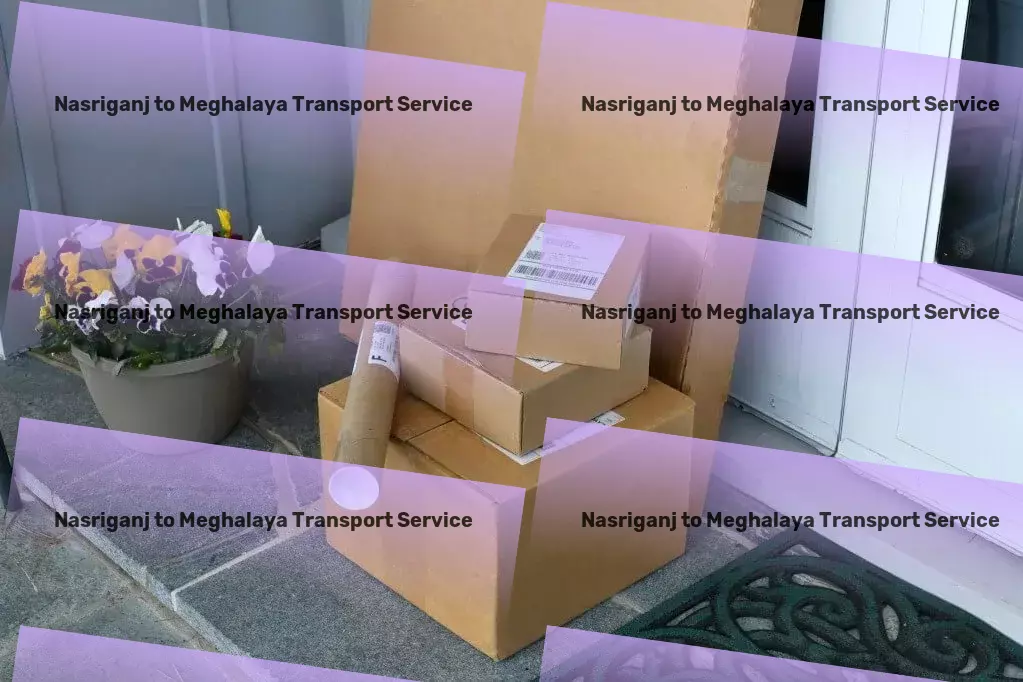 Nasriganj to Meghalaya Transport Professional package services