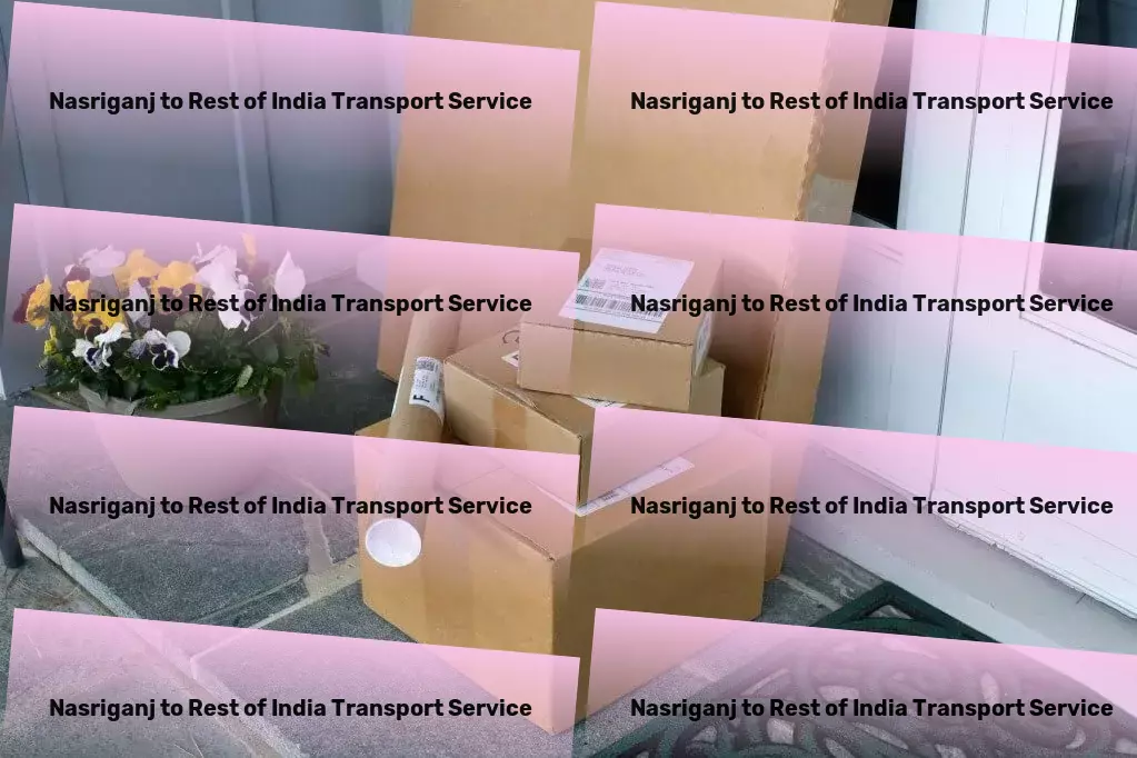 Nasriganj to Rest Of India Transport Comprehensive package logistics