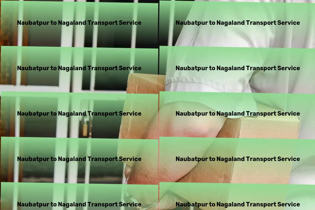 Naubatpur to Nagaland Transport National road transport