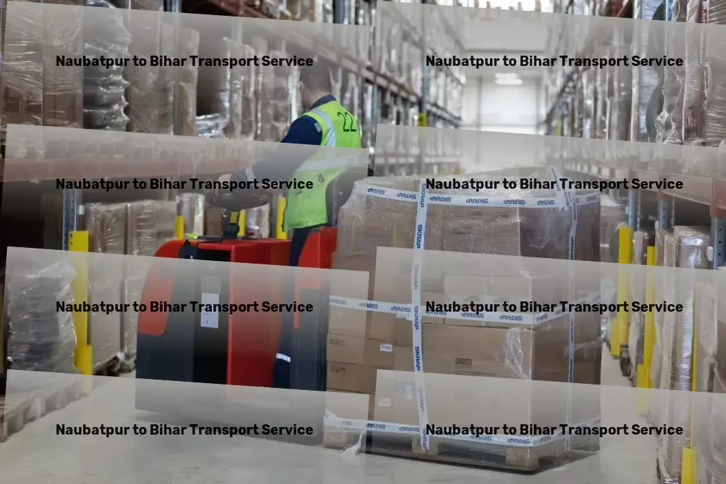 Naubatpur to Bihar Transport Specialized goods logistics