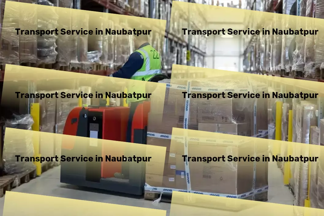 Transport in Naubatpur, Bihar (BR) Professional goods forwarding