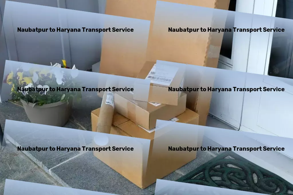 Naubatpur to Haryana Transport Upgrade your DIY skills with our creative projects! - Express household logistics