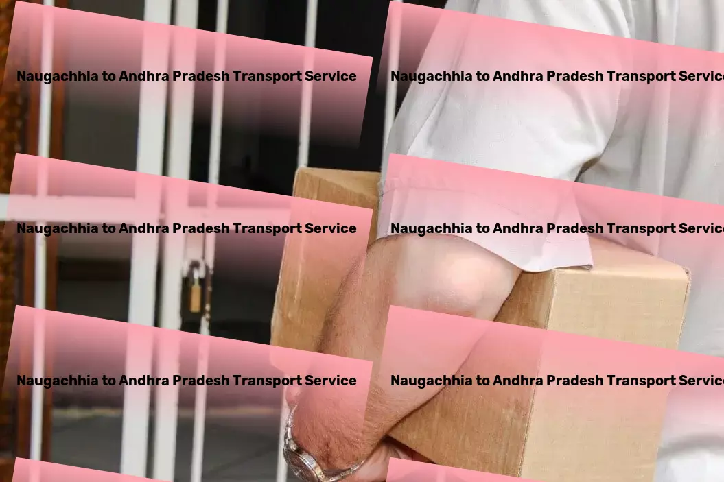 Naugachhia to Andhra Pradesh Transport Revolutionizing how you think about city trips! - Quick freight solutions