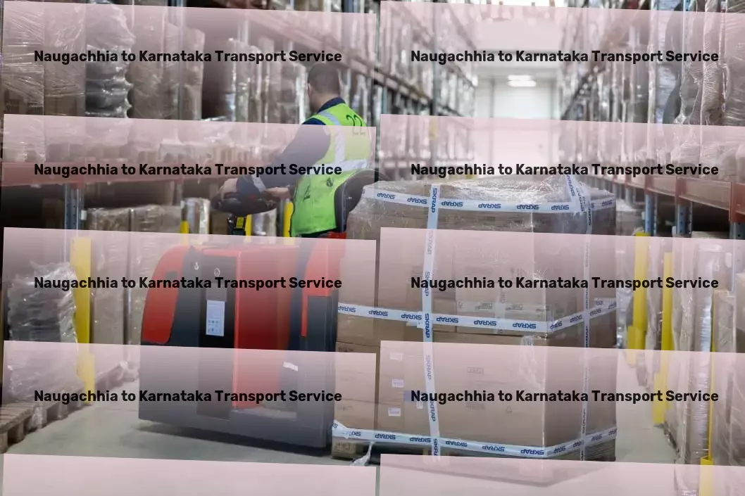 Naugachhia to Karnataka Transport Citywide package shipping