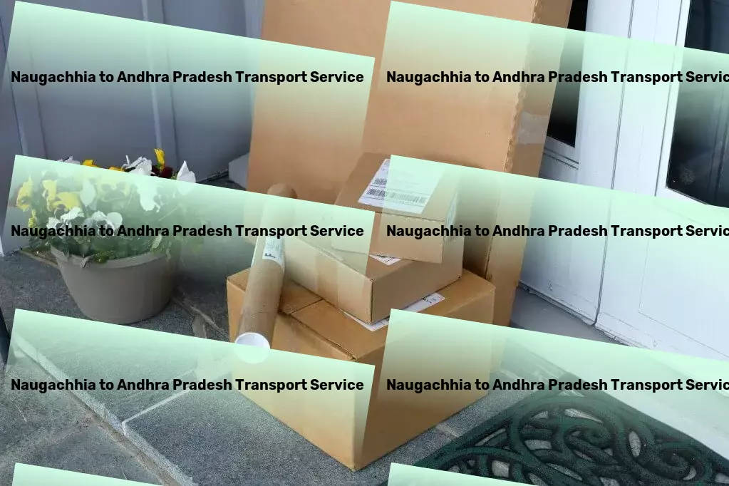 Naugachhia to Andhra Pradesh Transport Advanced movers and packers