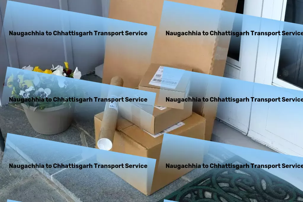 Naugachhia to Chhattisgarh Transport The ultimate tool for conquering urban chaos! - Cargo services