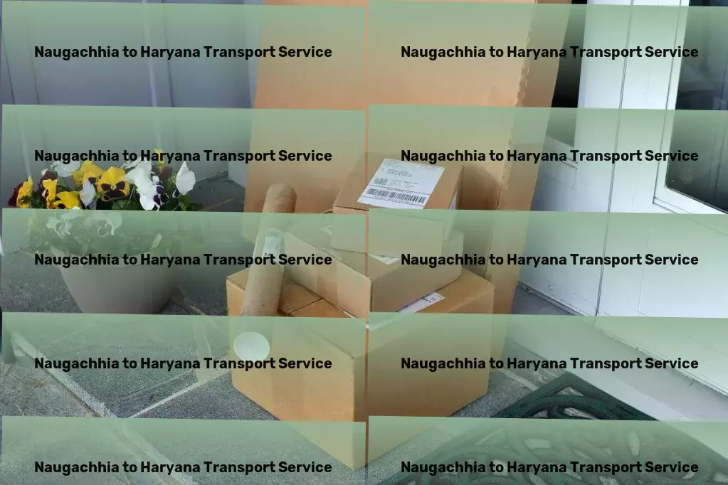 Naugachhia to Haryana Transport Commercial cargo booking