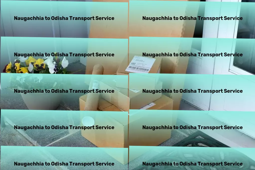 Naugachhia to Odisha Transport Revolutionizing how you think about city trips! - Intermodal transport services